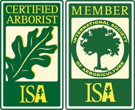 isa certified arborist